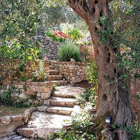 Filoxenia - The Place Of Experience Himare Buitenkant foto