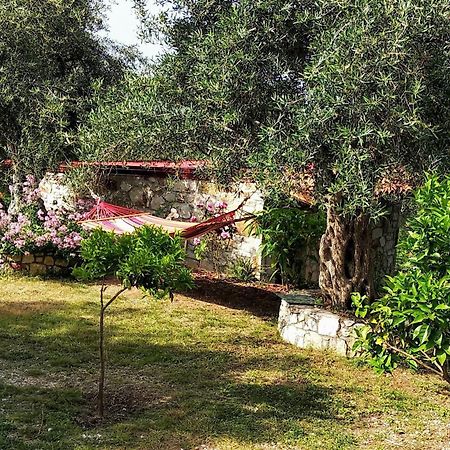 Filoxenia - The Place Of Experience Himare Buitenkant foto