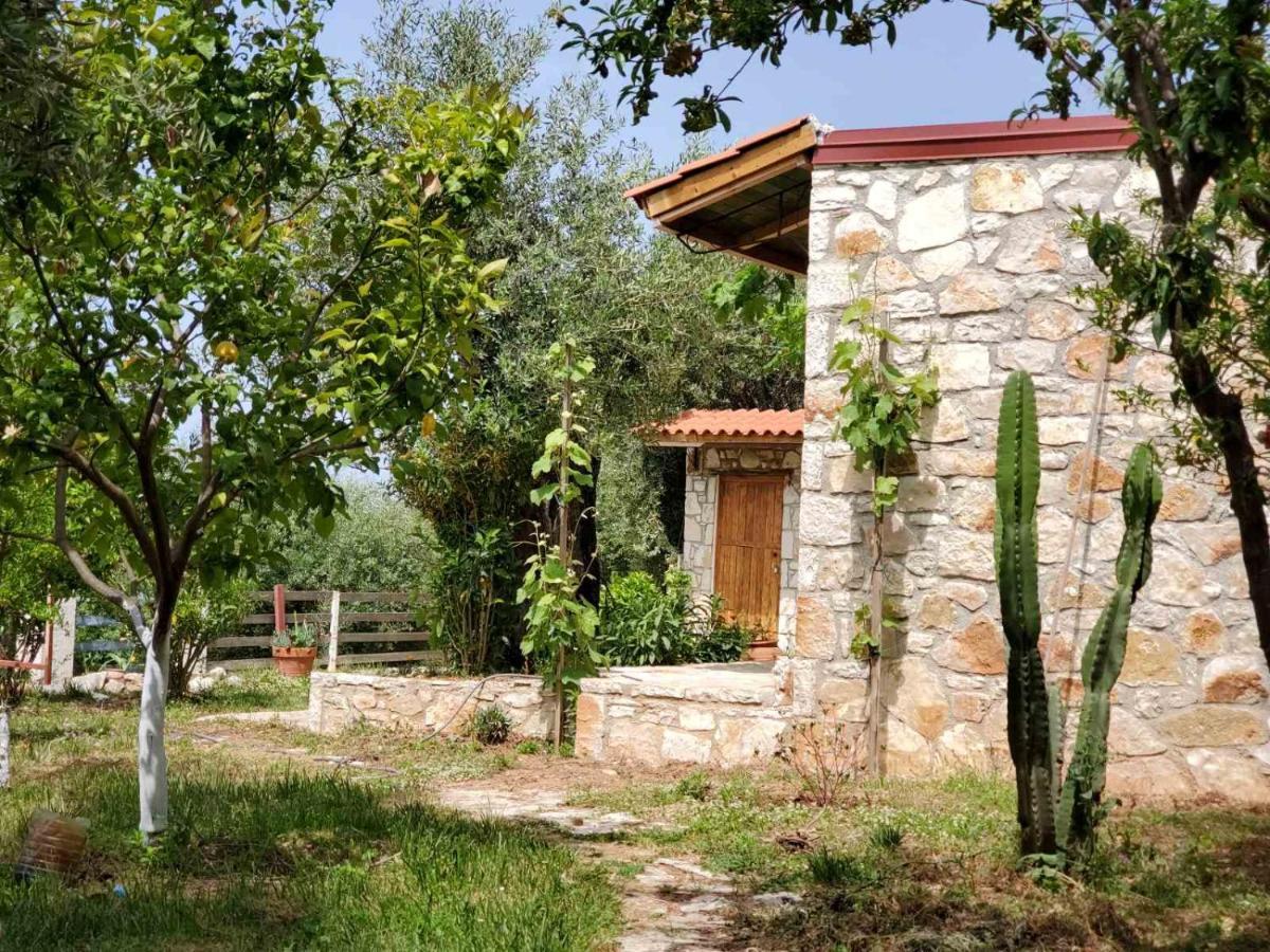 Filoxenia - The Place Of Experience Himare Buitenkant foto