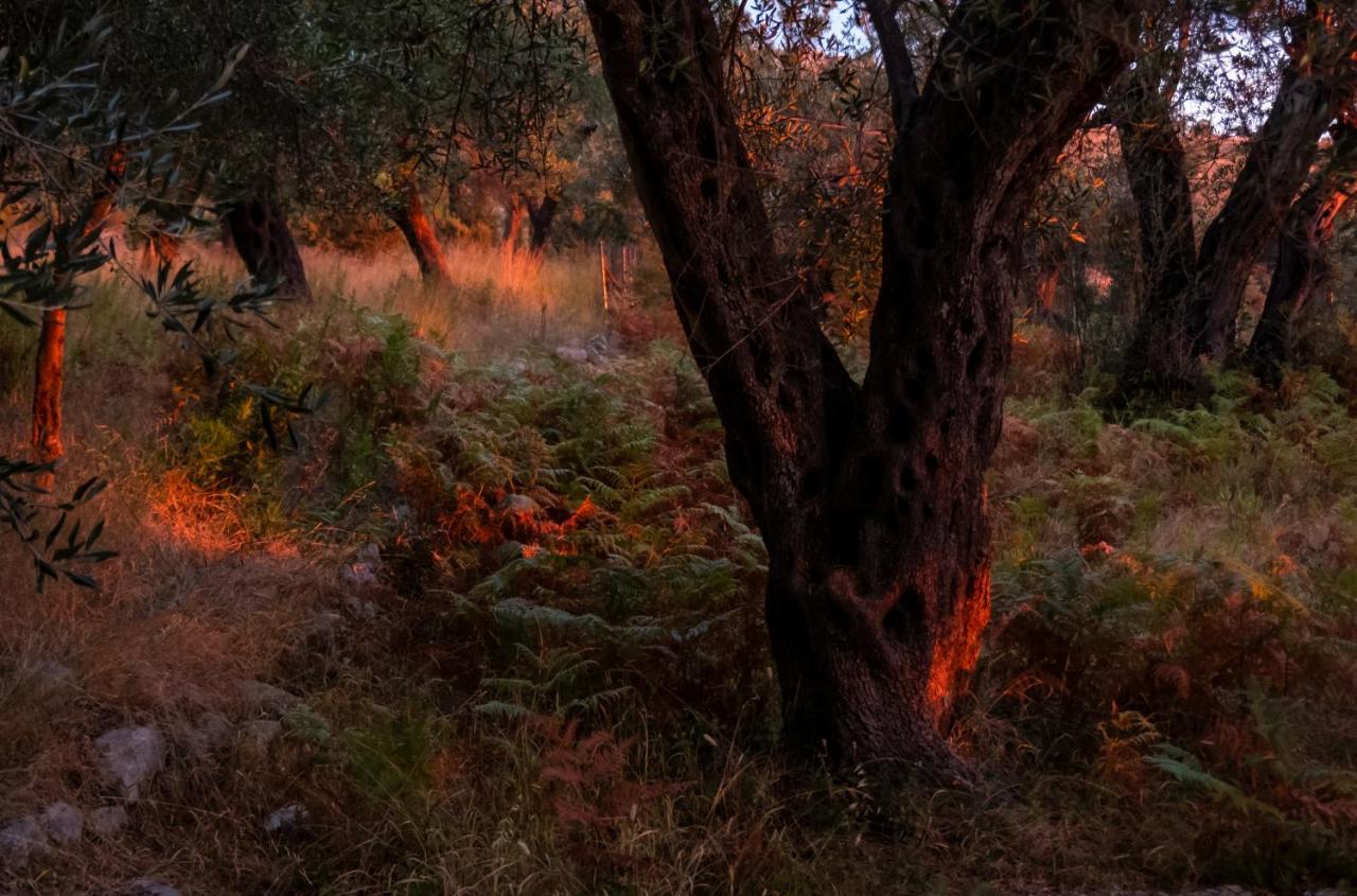 Filoxenia - The Place Of Experience Himare Buitenkant foto