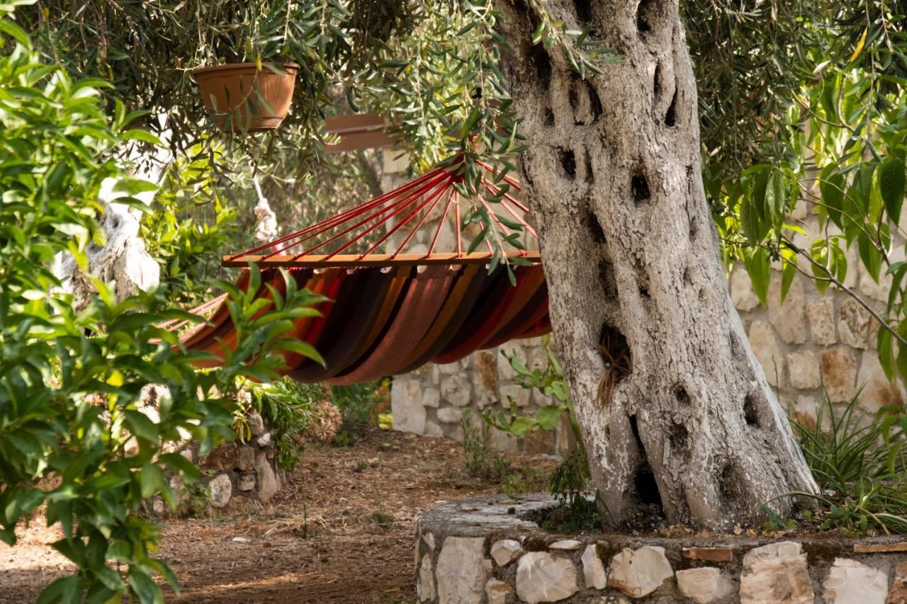 Filoxenia - The Place Of Experience Himare Buitenkant foto