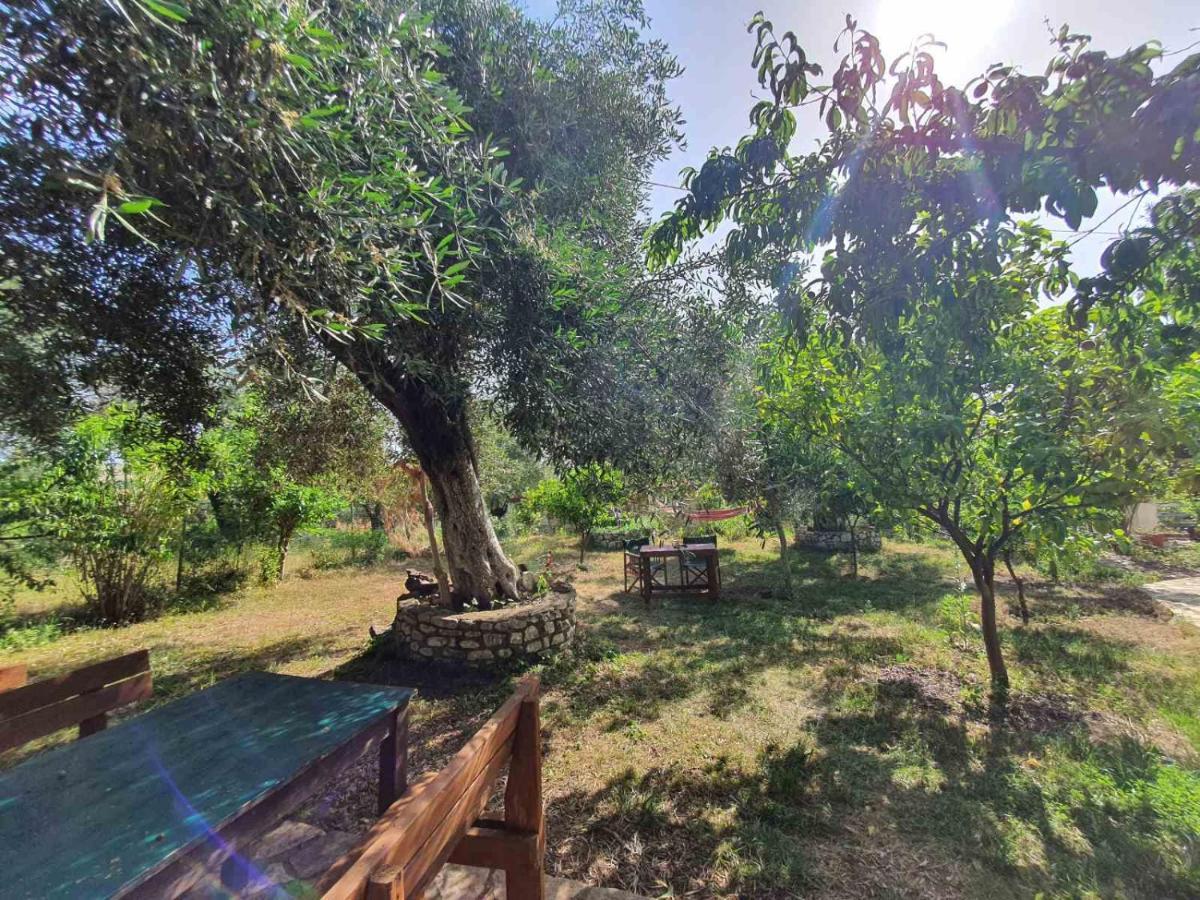 Filoxenia - The Place Of Experience Himare Buitenkant foto