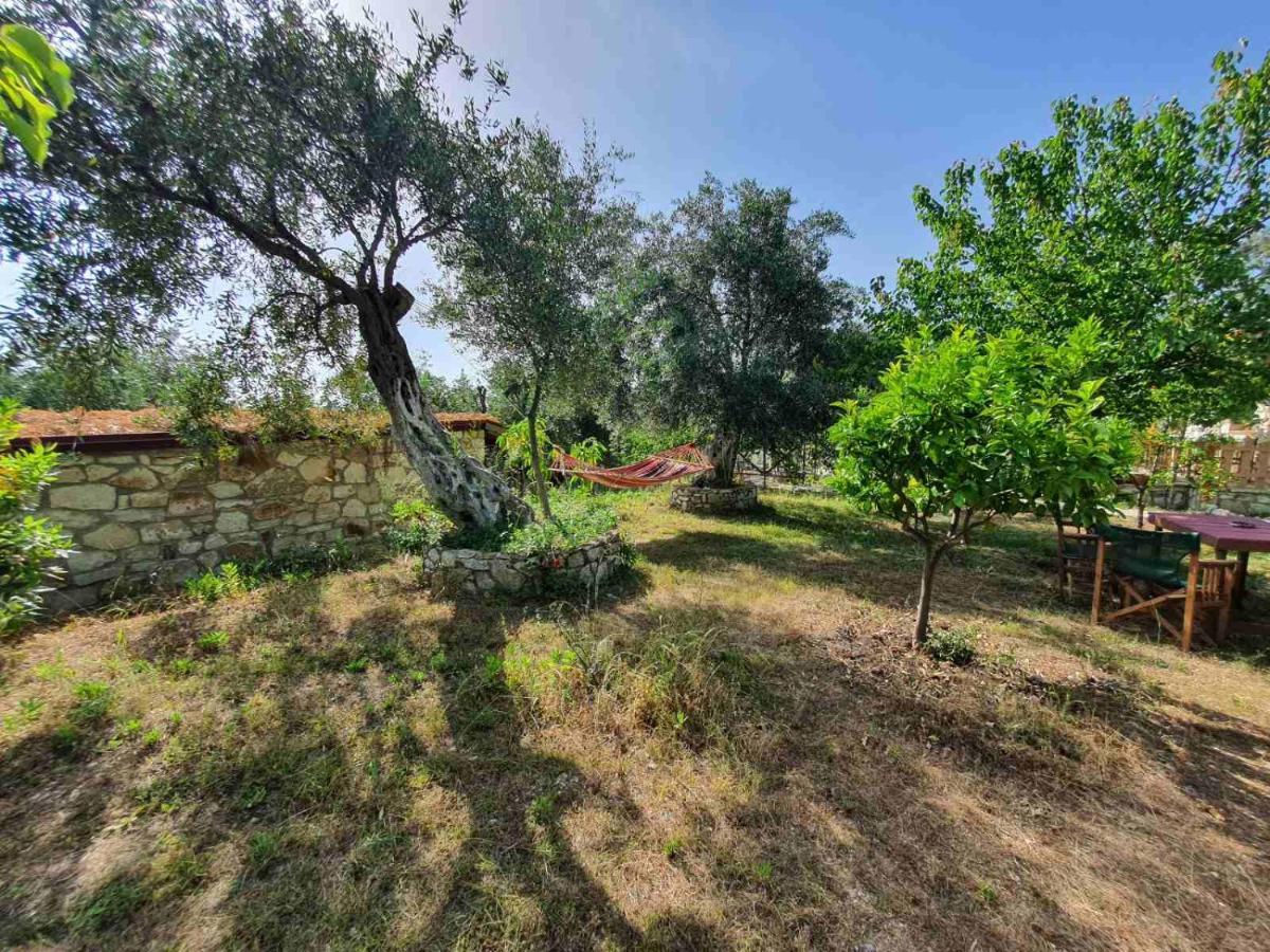 Filoxenia - The Place Of Experience Himare Buitenkant foto