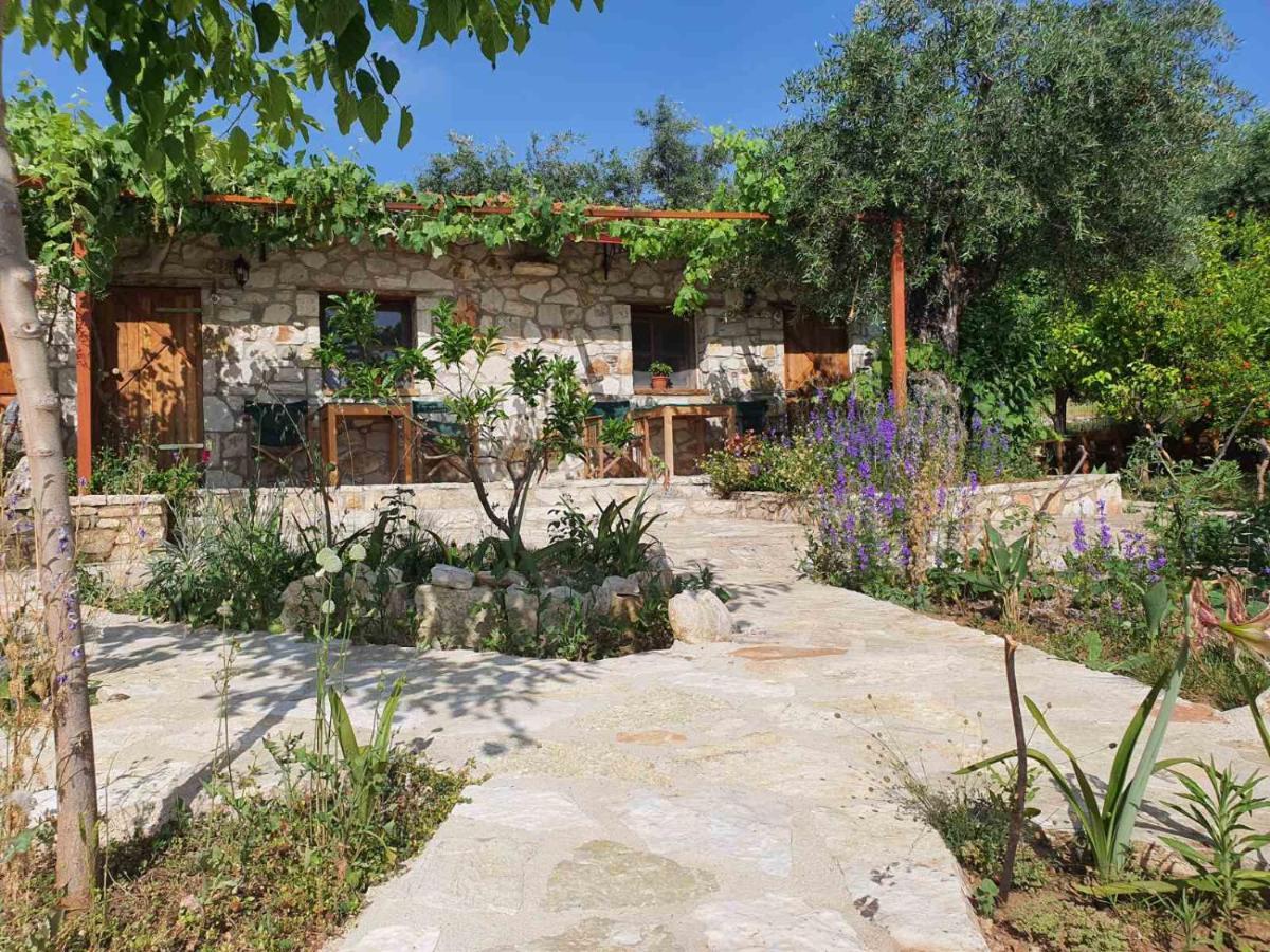 Filoxenia - The Place Of Experience Himare Buitenkant foto