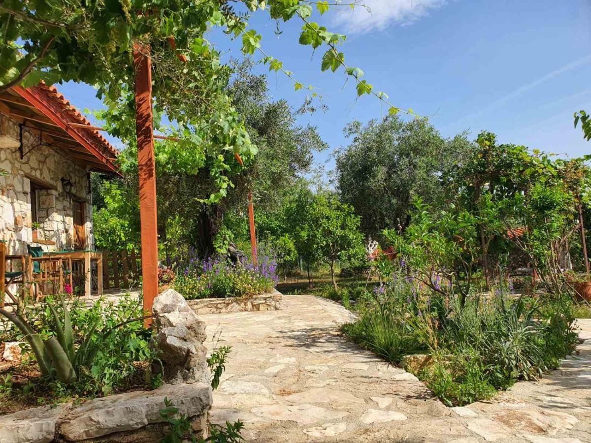 Filoxenia - The Place Of Experience Himare Buitenkant foto